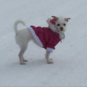 Meet your Posher, Mary